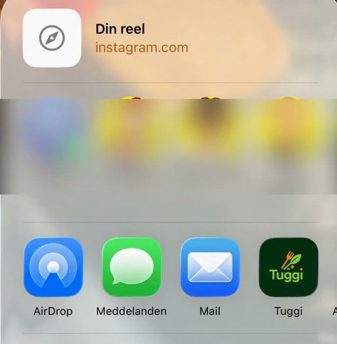 Delningsmenyn på iPhone med Tuggi bland apparna