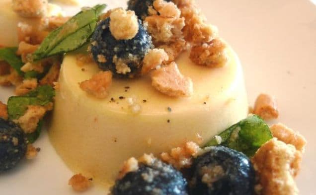 Honungspannacotta med blåbär och graham crackers
